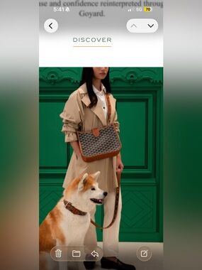 Goyard Musette PM crossbody bag in black and brown